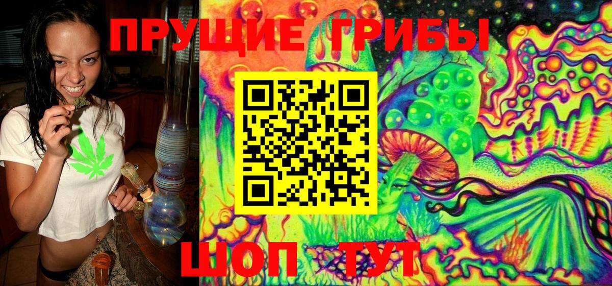 Галлюциногенные грибы MAGIC MUSHROOMS  Вход с VPN  Галлюциногенные грибы Psilocybe  Дивногорск 