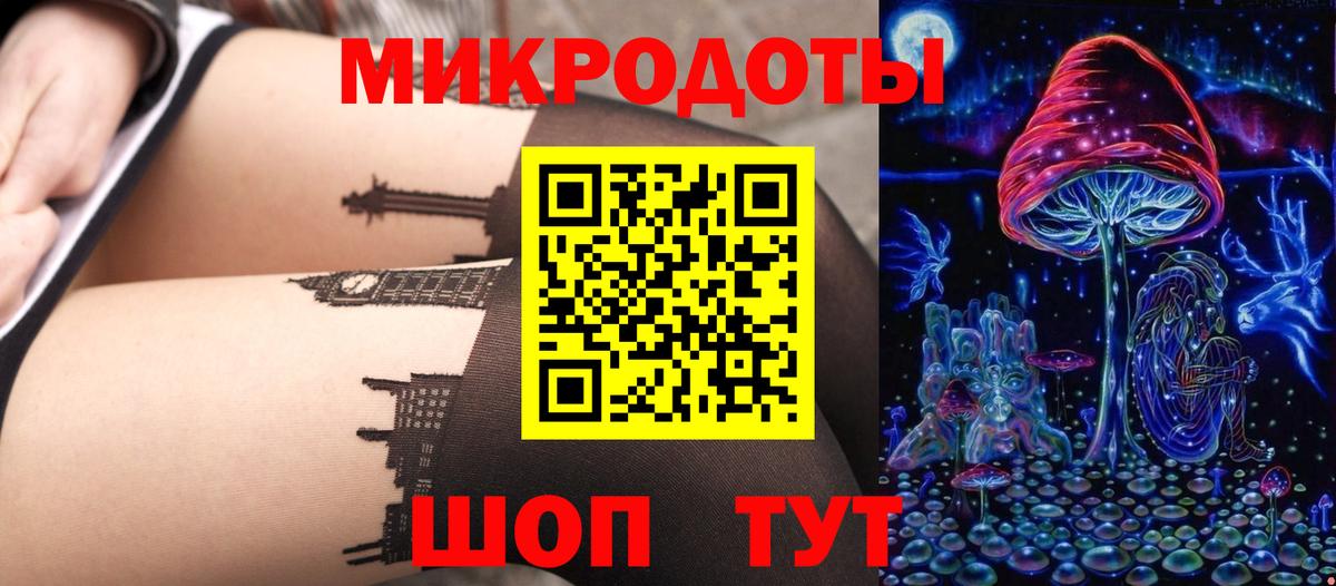 Галлюциногенные грибы Psilocybine cubensis Дивногорск